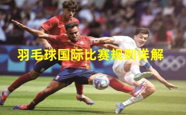 羽毛球国际比赛规则详解