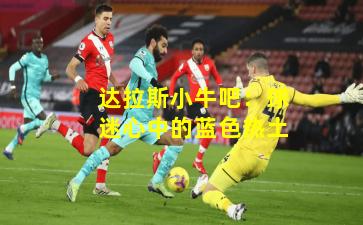 达拉斯小牛吧:球迷心中的蓝色热土