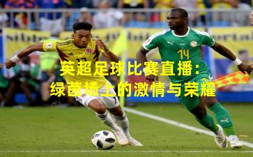 英超足球比赛直播：绿茵场上的激情与荣耀