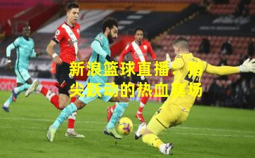 新浪篮球直播：指尖跃动的热血赛场