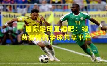 国际足球直播吧：绿茵激情的全球共享平台